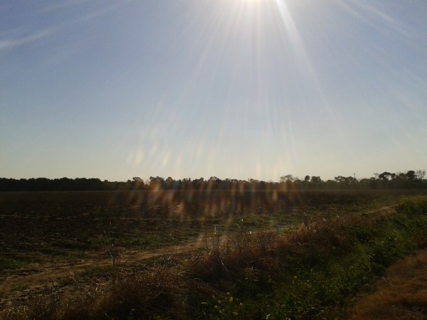 12 HECTAREAS ALTURA FINCAS DEL - SUR POR CAMINO 60 CUADRAS KM 7.