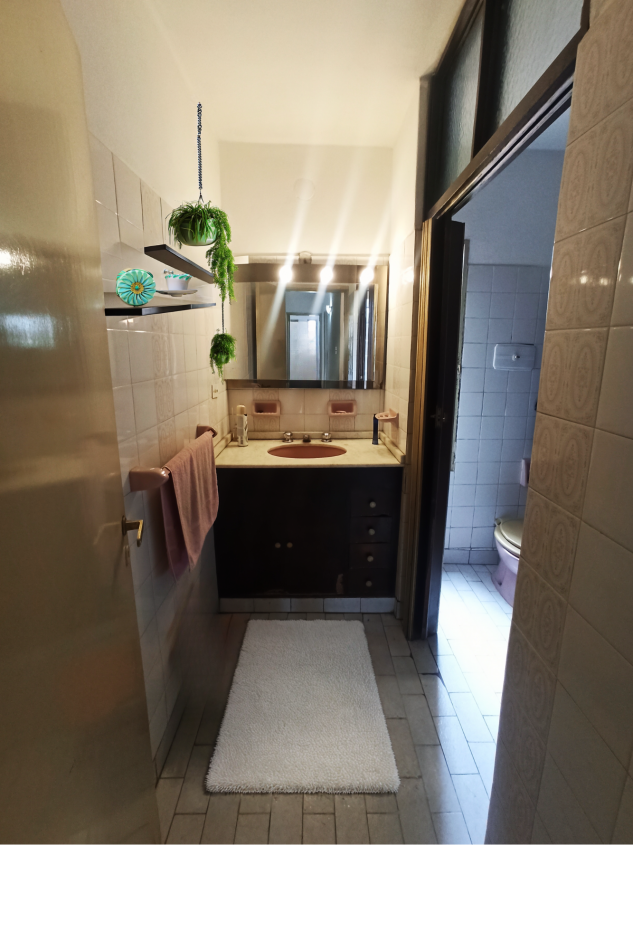 DOS CASAS - ZONA (C5) PB + 5 PISOS - LOTE DE 515 m2 -