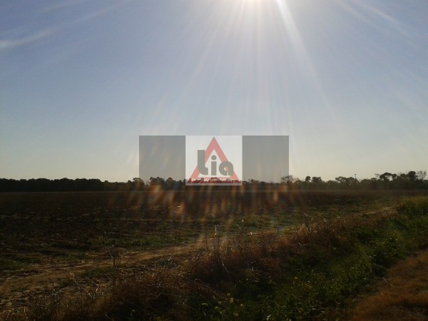 12 HECTAREAS ALTURA FINCAS DEL - SUR POR CAMINO 60 CUADRAS KM 7.