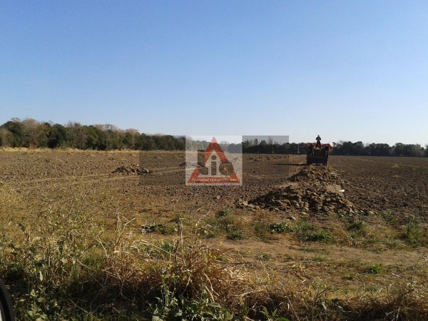 12 HECTAREAS ALTURA FINCAS DEL - SUR POR CAMINO 60 CUADRAS KM 7.