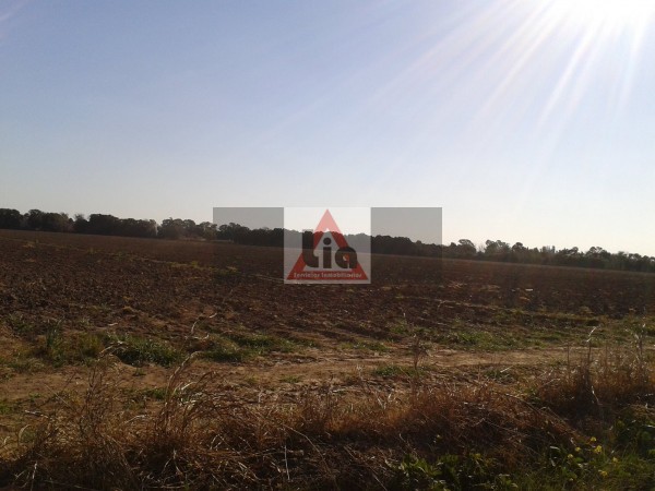 12 HECTAREAS ALTURA FINCAS DEL - SUR POR CAMINO 60 CUADRAS KM 7.