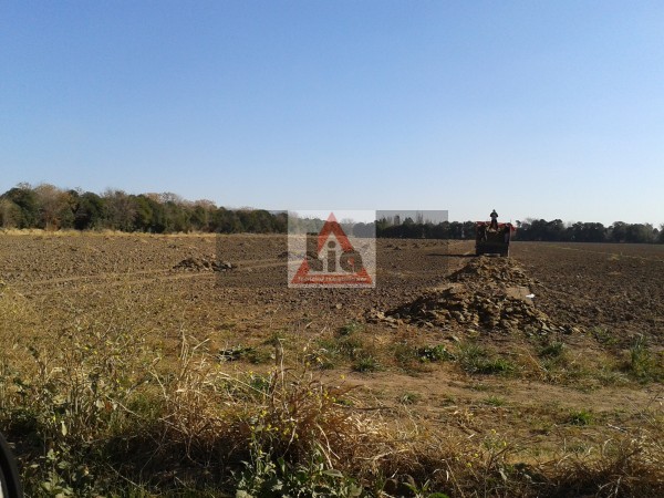 12 HECTÁREAS ALTURA FINCAS DEL SUR - POR CAMINO 60 CUADRAS-