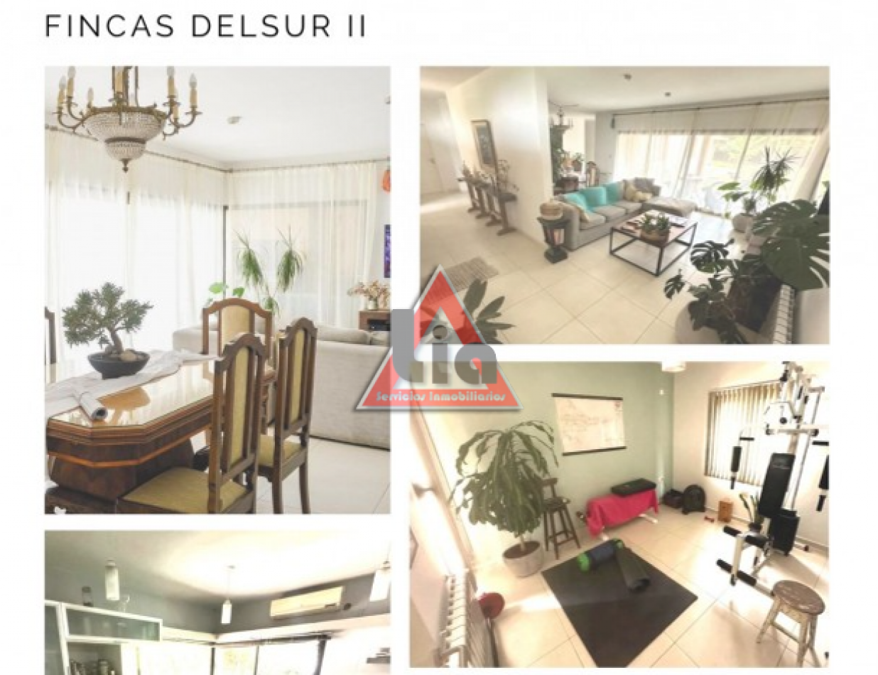 FINCAS DEL SUR 2 - MODERNA
