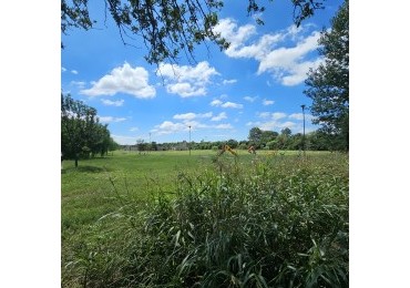  5042M2 - CAMINO SAN CARLOS AL 7200 -  ANTES DE VIEJO ALGARROBO